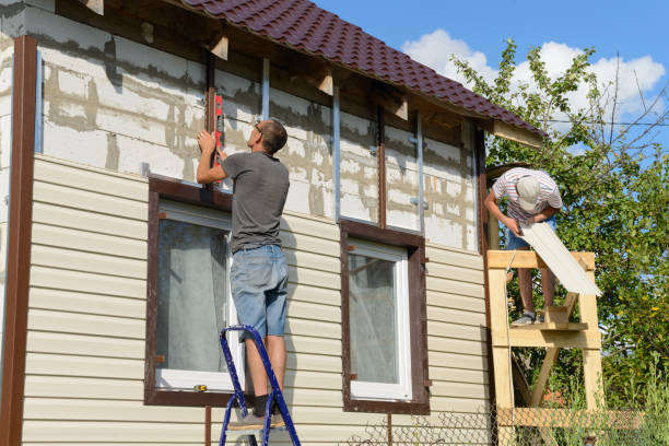 Best Vinyl Siding Installation  in Buffalo Grove, IL