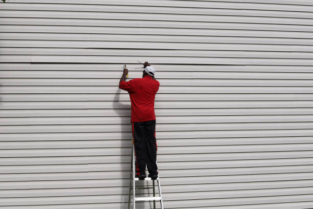 Best Fiber Cement Siding Installation  in Buffalo Grove, IL